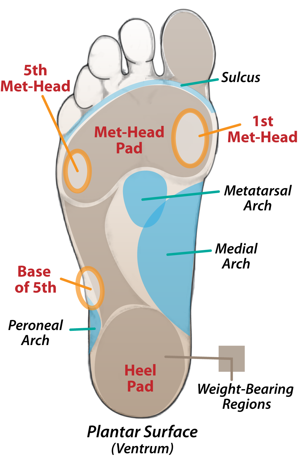 Soreness On Ball Of Foot During Longer Rides R Velo